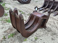 Stobben rooitand - afbeelding 2 van  7