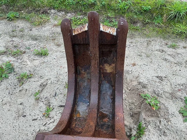 Stobben rooitand - afbeelding 6 van  7