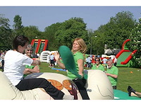 Stoeikussen - afbeelding 6 van  15