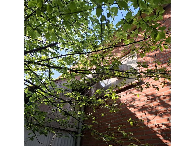 Stofafzuiging spanex - afbeelding 3 van  12