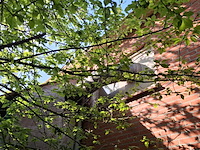 Stofafzuiging spanex - afbeelding 3 van  12