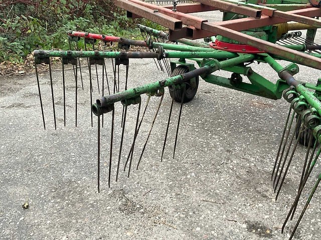 Stoll grashark - afbeelding 7 van  11