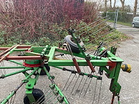 Stoll grashark - afbeelding 9 van  11