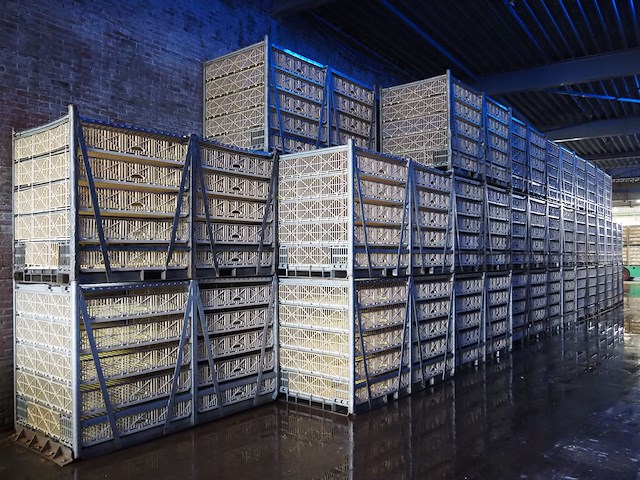 Stork - afbeelding 1 van  3