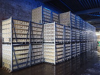 Stork - afbeelding 1 van  3