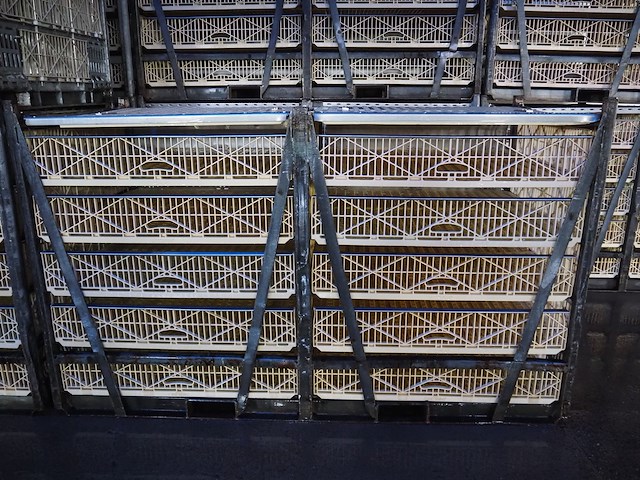 Stork - afbeelding 3 van  3