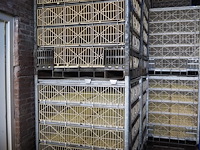 Stork - afbeelding 2 van  3