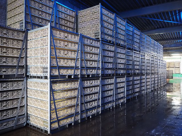 Stork - afbeelding 1 van  1