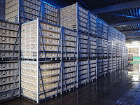 Stork - afbeelding 1 van  1