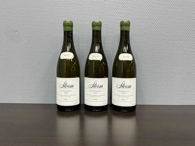 Storm wines, chardonnay 'ridge', 2022 (3x) - afbeelding 1 van  3