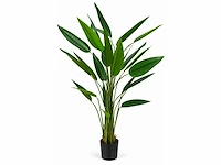 Strelitzia kunstplant (175cm hoog) (2x)