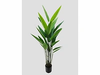 Strelitzia kunstplant (175cm hoog) - afbeelding 7 van  14