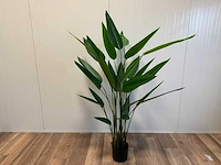 Strelitzia kunstplant (175cm hoog) - afbeelding 8 van  14