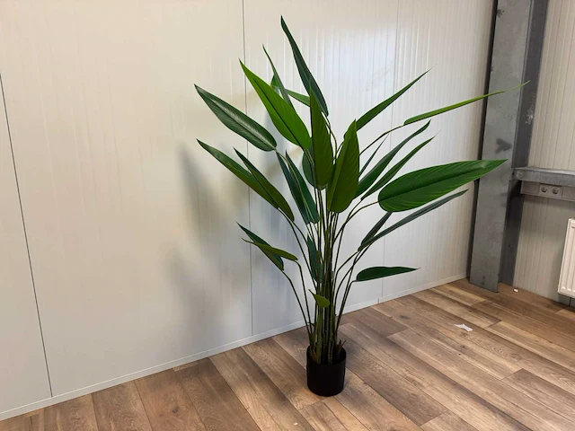 Strelitzia kunstplant (175cm hoog) - afbeelding 9 van  14