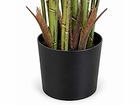 Strelitzia kunstplant (175cm hoog) - afbeelding 2 van  3