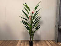 Strelitzia kunstplant (210cm hoog) - afbeelding 1 van  17