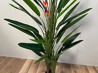 Strelitzia kunstplant (210cm hoog) - afbeelding 14 van  17