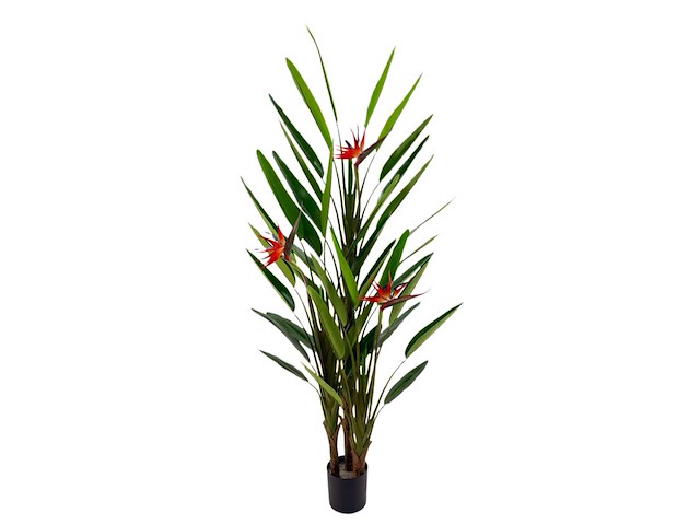 Strelitzia kunstplant (210cm hoog) - afbeelding 10 van  17