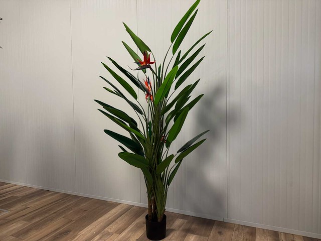 Strelitzia kunstplant (210cm hoog) - afbeelding 2 van  6