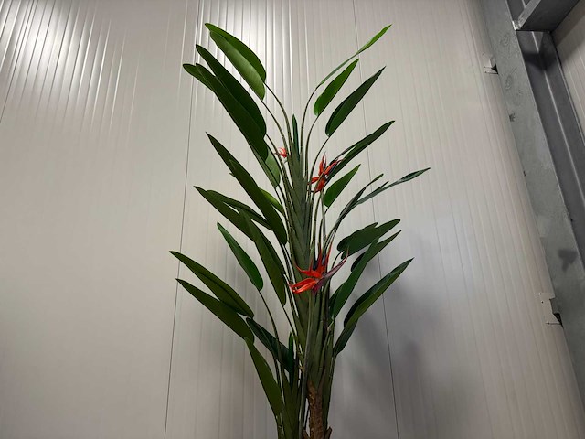 Strelitzia kunstplant (210cm hoog) - afbeelding 4 van  6