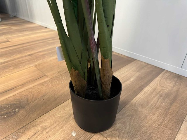 Strelitzia kunstplant (2x) (160cm hoog) - afbeelding 2 van  11