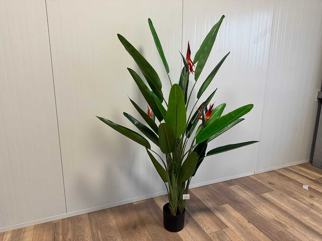 Strelitzia kunstplant (2x) (160cm hoog) - afbeelding 1 van  11
