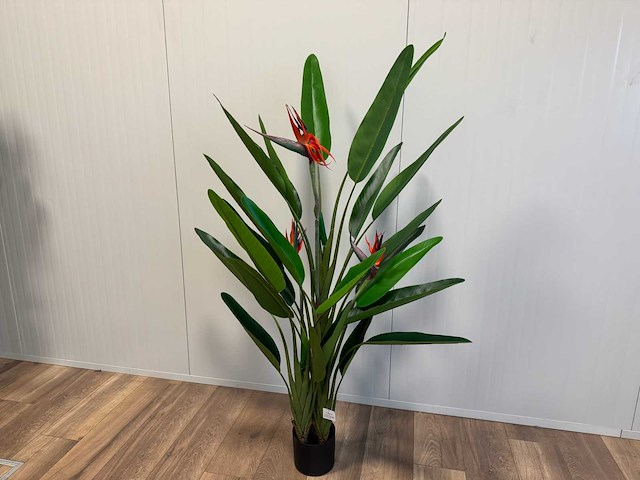 Strelitzia kunstplant (2x) (160cm hoog) - afbeelding 5 van  11
