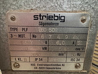 Striebig - 2003 - econom ii 6220 - verticale platenzaag - afbeelding 3 van  11