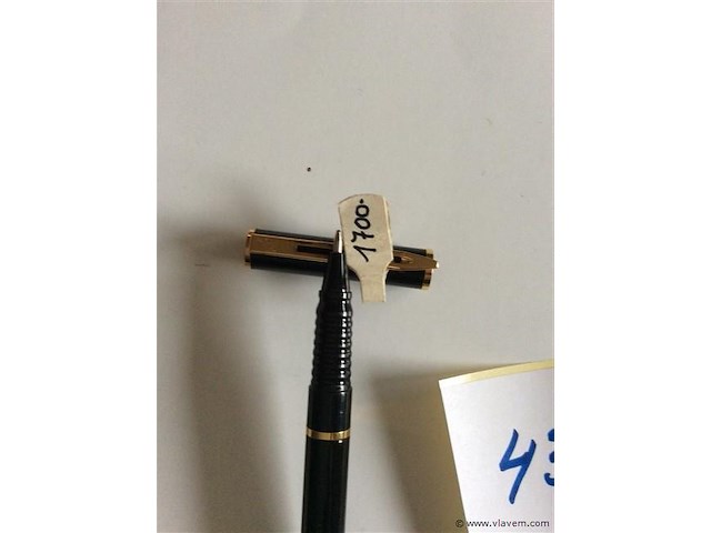 Stylo waterman - afbeelding 2 van  2