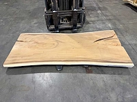 Suar boomstam tafelblad 220 cm.