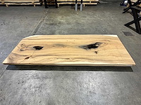 Suar boomstam tafelblad 280 cm.