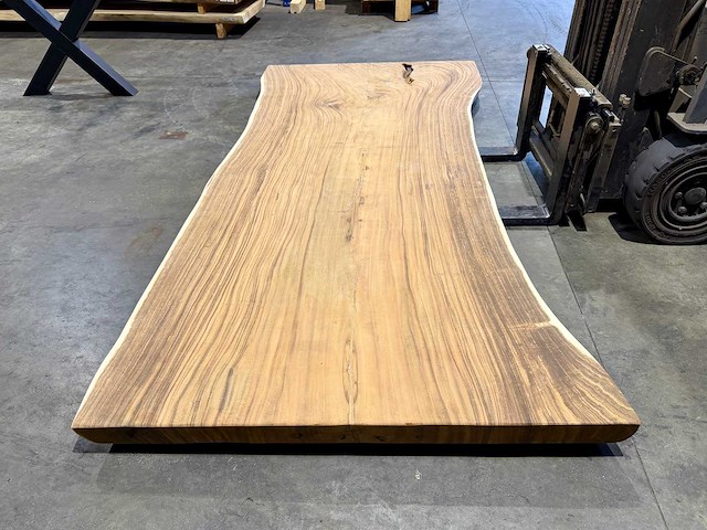 Suar boomstam tafelblad 300 cm. - afbeelding 1 van  3