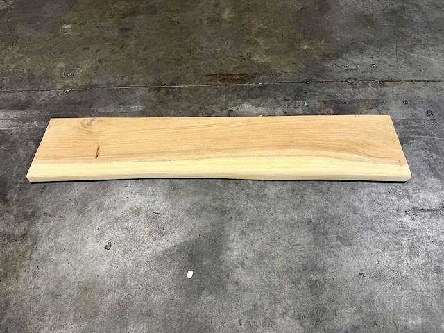 Suar boomstam wandplank - afbeelding 1 van  1