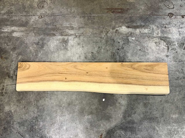 Suar boomstam wandplank - afbeelding 1 van  2