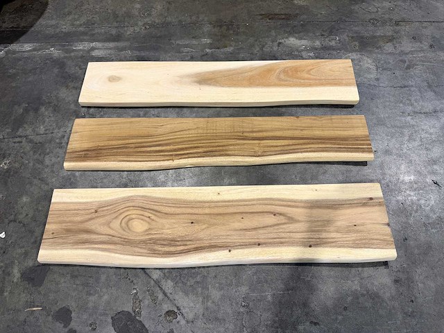 Suar boomstam wandplanken (3x) - afbeelding 2 van  2