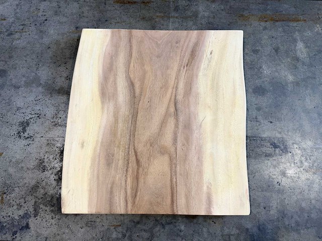 Suar boomstamblad ca 75x75 cm - afbeelding 2 van  2