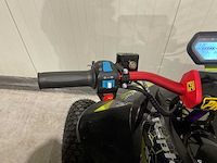 Suffa raptor 250 power racing 4x2 sport quad - afbeelding 33 van  48