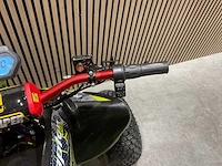 Suffa raptor 250 power racing 4x2 sport quad - afbeelding 19 van  48