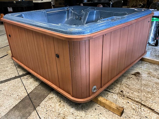 Sunbelt spas jacuzzi - afbeelding 5 van  12