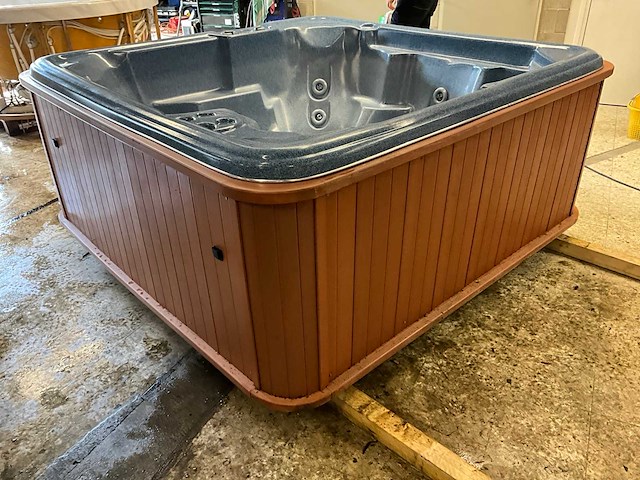 Sunbelt spas jacuzzi - afbeelding 7 van  12