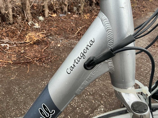 Sundvall cartagena elektrische damesfiets - afbeelding 12 van  16