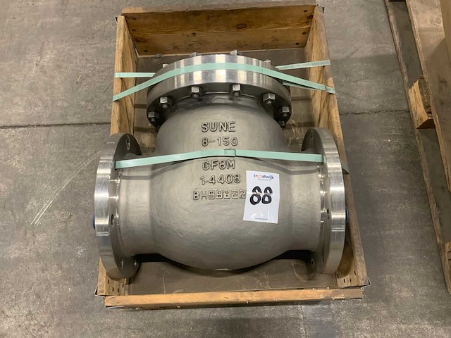 Sune 8-150 / cf8m rvs terugslagklep - afbeelding 1 van  2