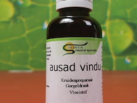 Surya voedingssupplementen, diverse soorten o.a. chyavanprash awaleha pasta pasta & abipattikar - afbeelding 18 van  19