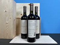 Susana balbo cabernet sauvignon 2021 rode wijn (3x) - afbeelding 2 van  3