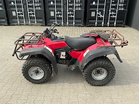 Suzuki quad runner quad - afbeelding 18 van  19