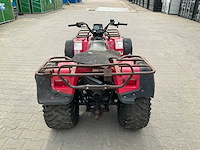 Suzuki quad runner quad - afbeelding 16 van  19