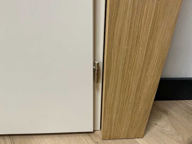 Svedex - deur 290 cm - afbeelding 11 van  17