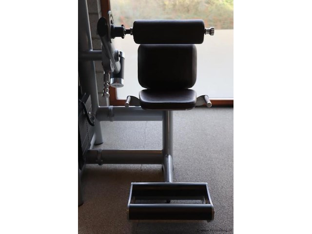 Sygnum back extension type gym80 - afbeelding 3 van  10