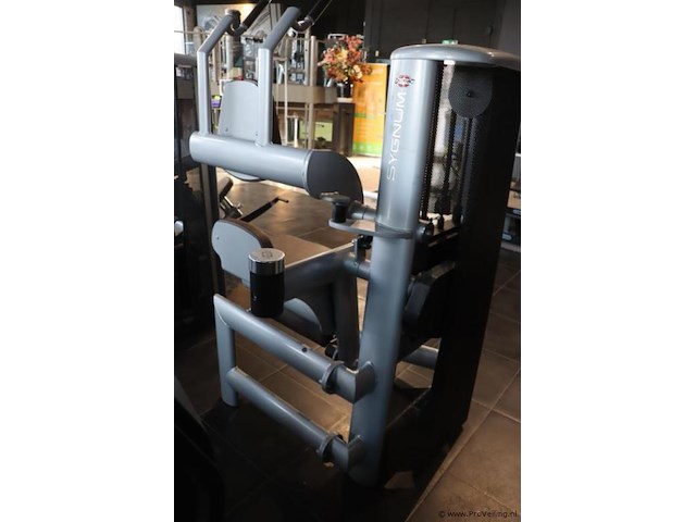 Sygnum buikspier/crunch machine type gym80 - afbeelding 7 van  7