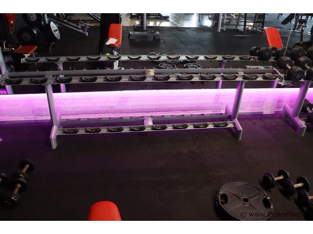 Sygnum dumbbellrek type gym80 - 294x50x74cm - afbeelding 1 van  6